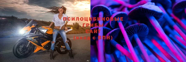 твердый Корсаков