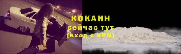 твердый Корсаков